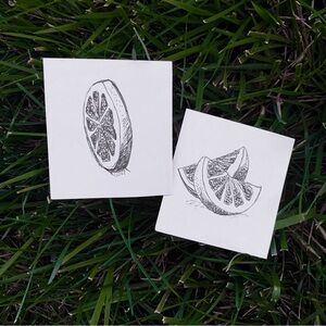 Mini citrus art drawing bundle